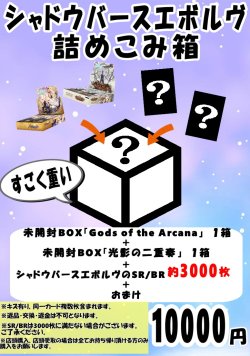 画像1: 【シャドバ】シャドウバースエボルヴ詰めこみ箱【2BOX+ノーマル約3000枚+おまけ】