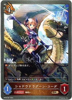 画像1: シャドウドラグーン・コーダ