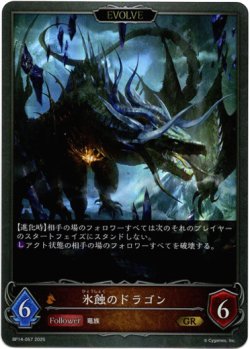 画像1: 【EVOLVE】氷蝕のドラゴン