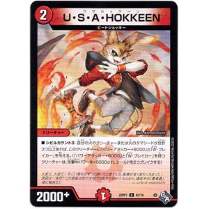 画像: U・S・A・HOKKEEN