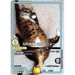 画像: GRの猫 ニャンニャン