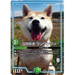 画像: GRの犬 ワンワンワン