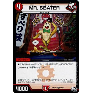 画像: MR. SBATER