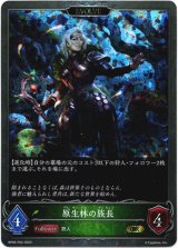 画像: 【プレミアム】【EVOLVE】原生林の族長