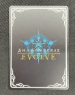 画像2: ※傷有り品（返品交換対象外）【SP】【EVOLVE】デモンズグリード・パラセリゼ